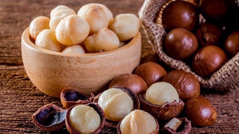 14-cong-dung-cua-hat-mac-ca-macca-doi-voi-suc-khoe-ban-khong-nen-bo-qua-(20)-800x450